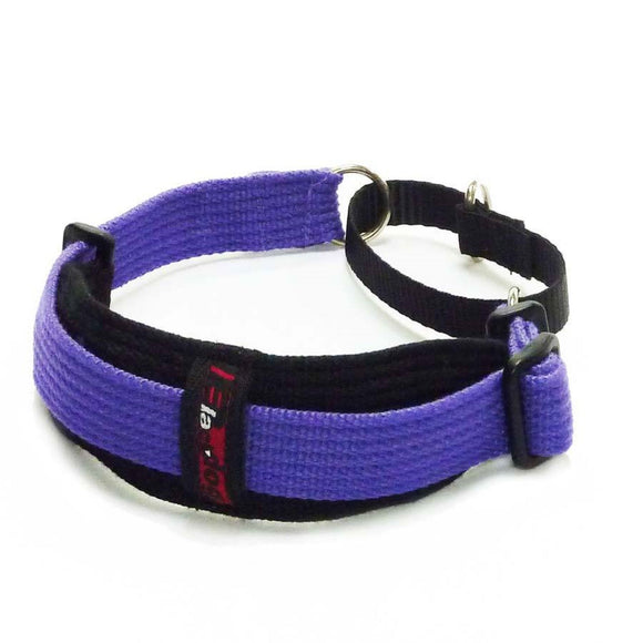 Purple on Black - Black Dog Collar