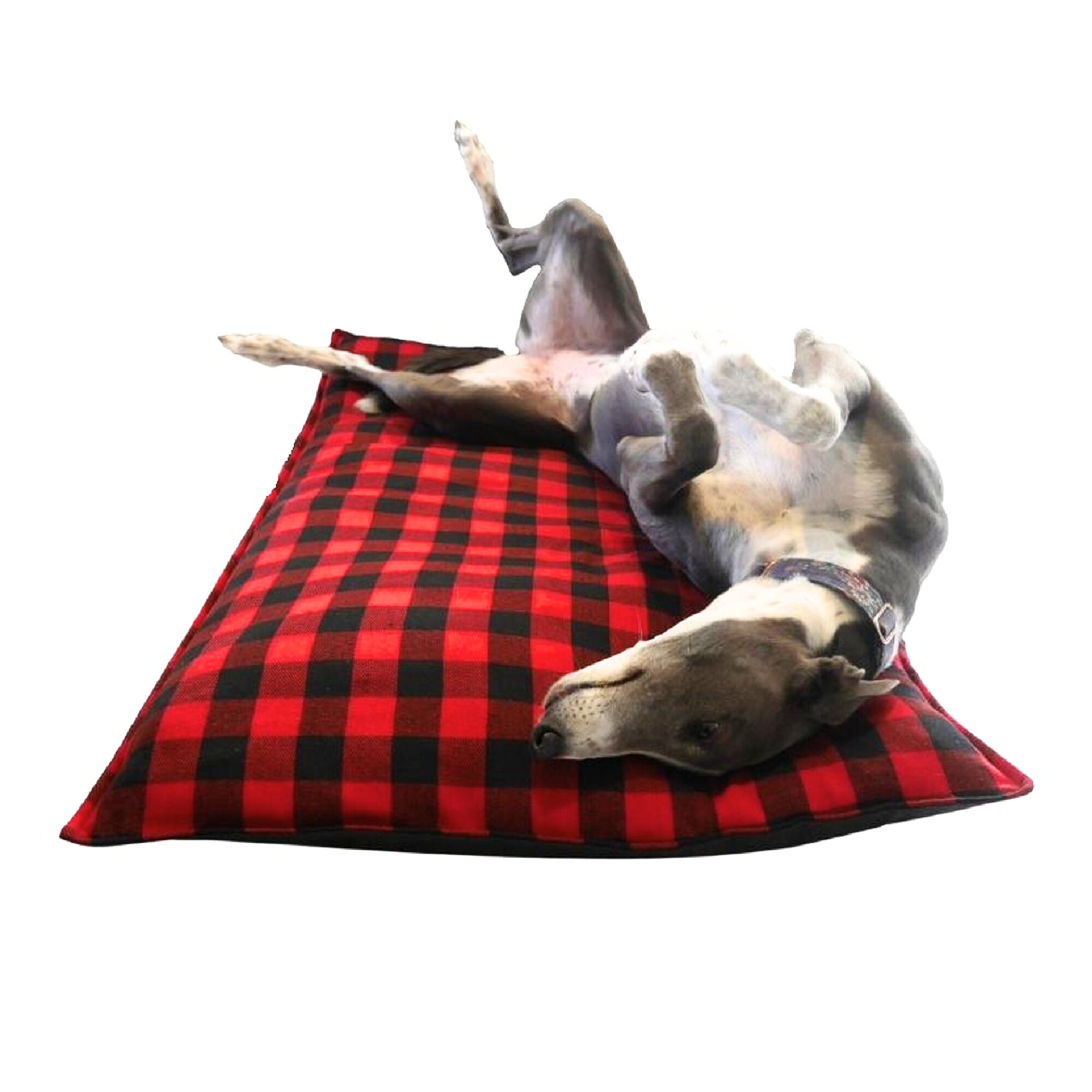 Extra large greyhound beds clearance