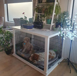 Greyhound Crate & Surround Combination - Size XXL