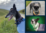 2025 Greyhounds as Pets Calendar