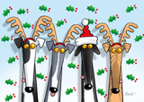 NEW! Greyhound Christmas Cards by Rich Skipworth (+ optional donation)