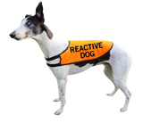 NEW! Custom Hi-Vis Vest