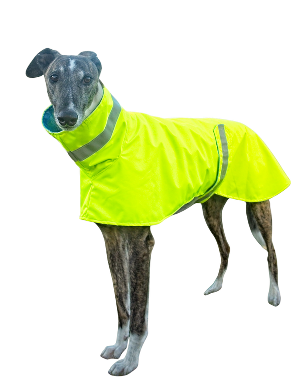 NEW! Hi-Vis Fluro Yellow Waterproof Raincoat - LIMITED EDITION