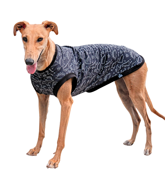 Summer T-Shirt - Black with White Dinosaurs