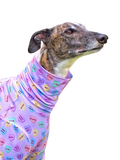 NEW! Candy Hearts Long Sleeved Greyhound T-shirt - PREORDER