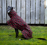 NEW! Cherries! - European Softshell Raincoat LIMITED EDITION