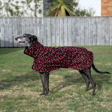 NEW! Cherries! - European Softshell Raincoat LIMITED EDITION