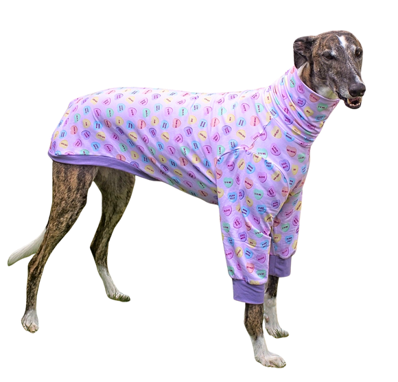 NEW! Candy Hearts Long Sleeved Greyhound T-shirt - PREORDER