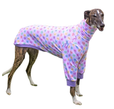 NEW! Candy Hearts Long Sleeved Greyhound T-shirt - PREORDER
