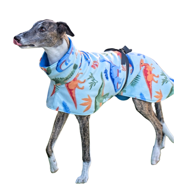Dinosaurs Teal - Double Layer Fleece