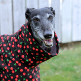 NEW! Cherries! - European Softshell Raincoat LIMITED EDITION