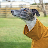 NEW! Ochre with Reflective Umbrellas - European Softshell Raincoat LIMITED EDITION