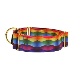 Rainbow 1.5" collar