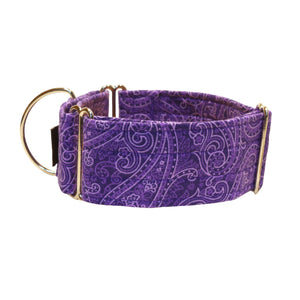 Purple Paisley 2" Collar