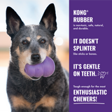 NEW! Kong Senior - Large (Purple)