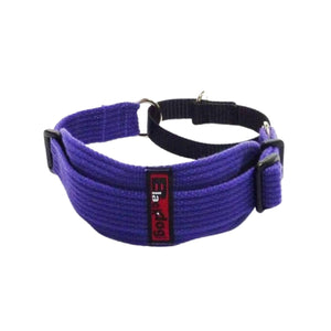 Purple on Purple - Black Dog Collar