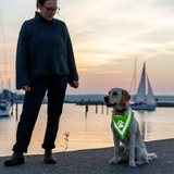 NEW! Trixie Reflective Neckerchief L–XL