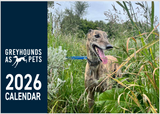2026 Greyhounds as Pets Calendar - PREORDER