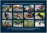 2026 Greyhounds as Pets Calendar - PREORDER