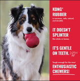 NEW! Kong Goodie Bone