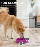 NEW! Outward Hound Fun Feeder (Slow Bowl) - ON SALE!