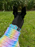NEW! Teal Unicorns 1.5" Collar