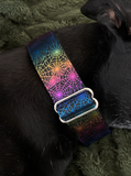 NEW! Neon Metallic Webs 1.5" Collar