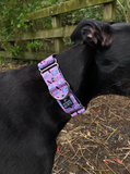 NEW! Cute Ghosts, Skulls & Bats 1.5" Collar
