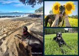 NEW! 2027 Greyhounds as Pets Calendar