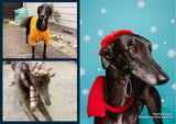 NEW! 2027 Greyhounds as Pets Calendar