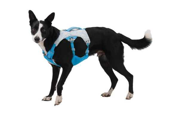 NEW! Ruffwear Swamp Cooler - Dog Cooling Harness PREORDER