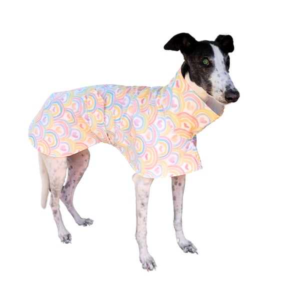 Pastel Rainbows Raincoat