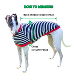 NEW Rainbow Stripes Greyhound T-Shirt