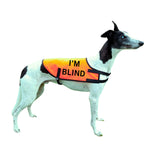 NEW! Custom Hi-Vis Vest