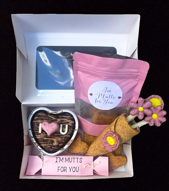 NEW! Valentines Barkuterie Box - LIMITED EDITION