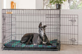 Premium Metal Greyhound Crate - Size XL
