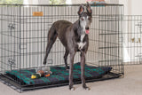 Premium Metal Greyhound Crate - Size XXL