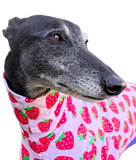 NEW! Strawberries Long Sleeved Greyhound T-shirt