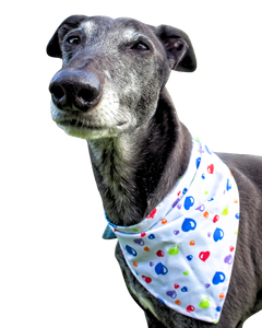 NEW! Bandana/Scarf - Colourful Hearts