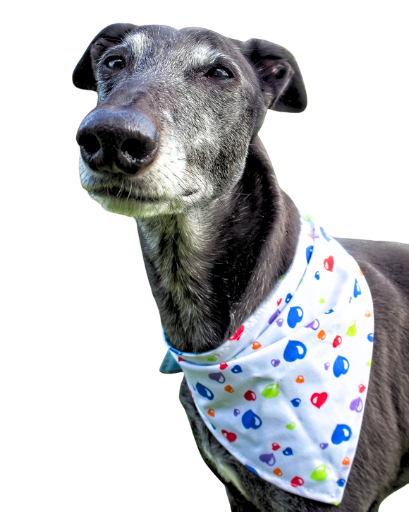NEW! Bandana/Scarf - Colourful Hearts