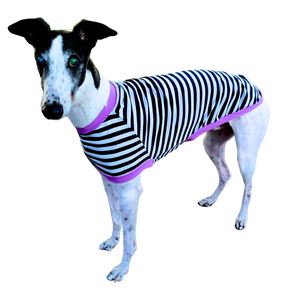 NEW! Navy & White Stripes Greyhound T-Shirt with Purple Binding