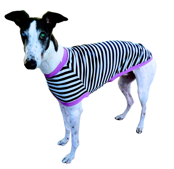 NEW! Navy & White Stripes Greyhound T-Shirt with Purple Binding