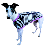 NEW! Navy & White Stripes Greyhound T-Shirt with Purple Binding