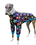 NEW! Colourful Skulls Long Sleeved Greyhound T-shirt