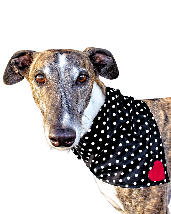 NEW! Bandana/Scarf - Polka Dots with Red Heart