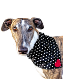 NEW! Bandana/Scarf - Polka Dots with Red Heart