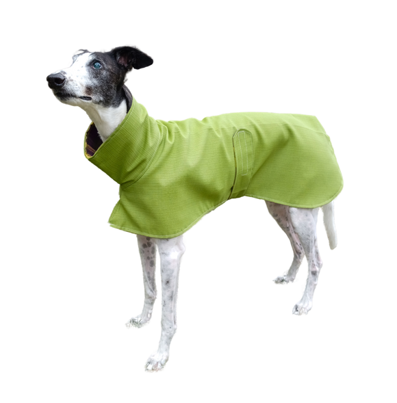 Deluxe Green Canvas Raincoat - 1 size medium left!