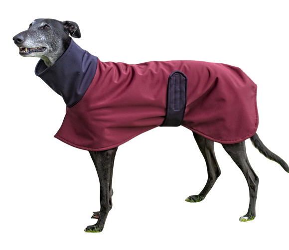 Burgundy with Navy Two-Tone Raincoat