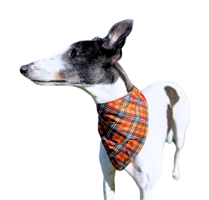 NEW! Summer Scarf - Pumpkin Orange Tartan