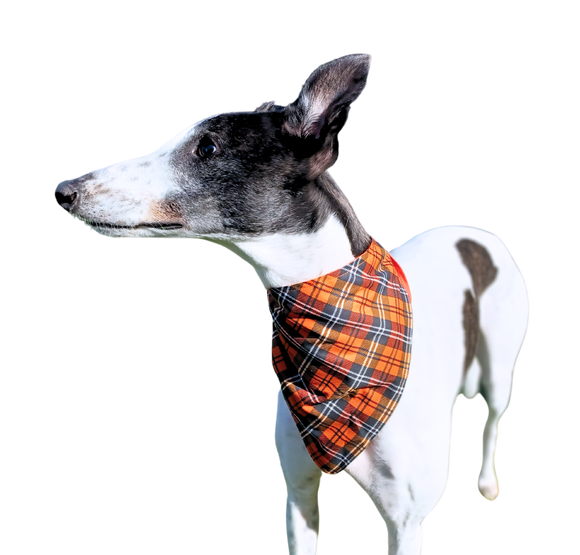 NEW! Summer Scarf - Pumpkin Orange Tartan